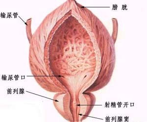 點擊浏覽下一頁