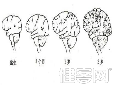 導致新生兒得肺炎的原因