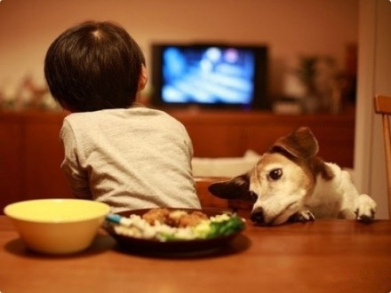 兒童吃飯時看電視易發胖