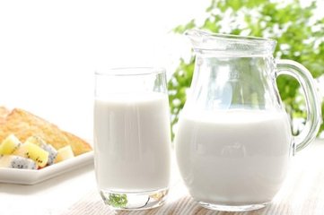 牛奶對小胖子有什麼樣的影響