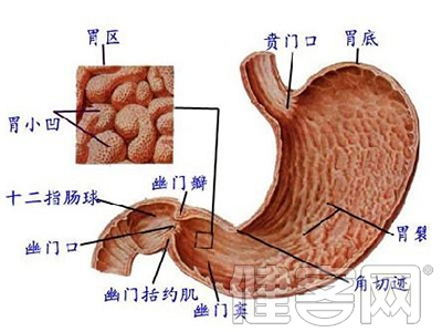 孩子不慎吞下異物如何急救