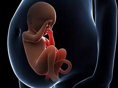 千億兒媳9年4胎次次剖腹產 女性最多能剖幾次