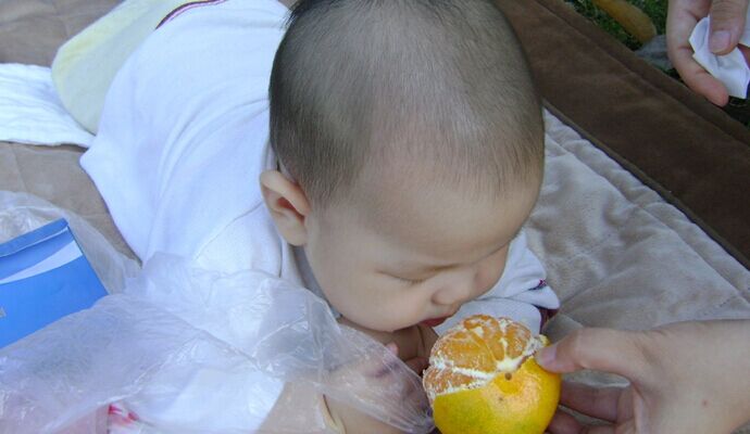 寶寶不能過量吃橘子 小心變成“小黃人”！