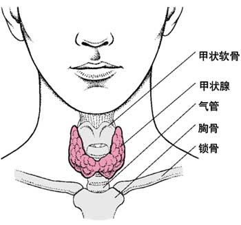 點擊浏覽下一頁